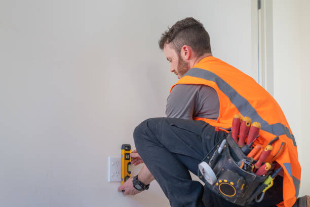 Best Electric Panel Repair  in Bushnell, IL