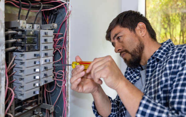 Best Electrician for Home Renovation  in Bushnell, IL